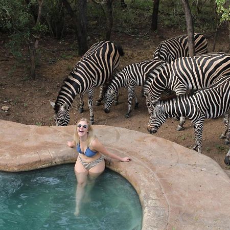Kruger Park Hostel Marloth Park Exteriér fotografie