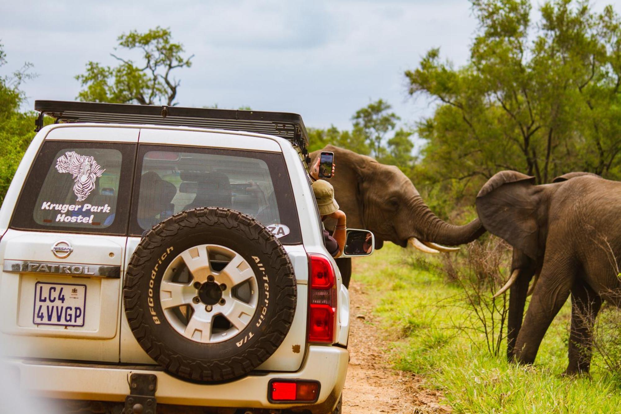 Kruger Park Hostel Marloth Park Exteriér fotografie