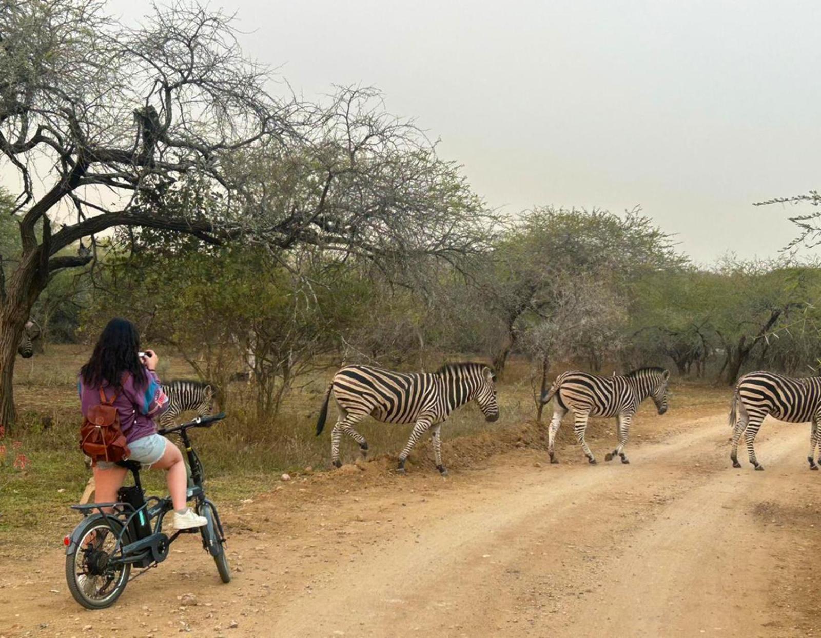 Kruger Park Hostel Marloth Park Exteriér fotografie
