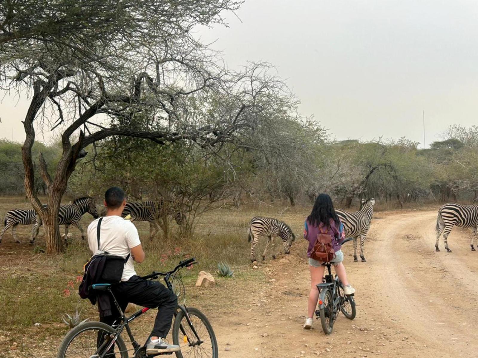 Kruger Park Hostel Marloth Park Exteriér fotografie